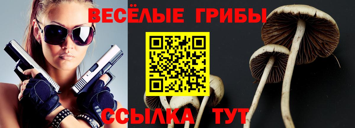 Галлюциногенные грибы GOLDEN TEACHER Советский