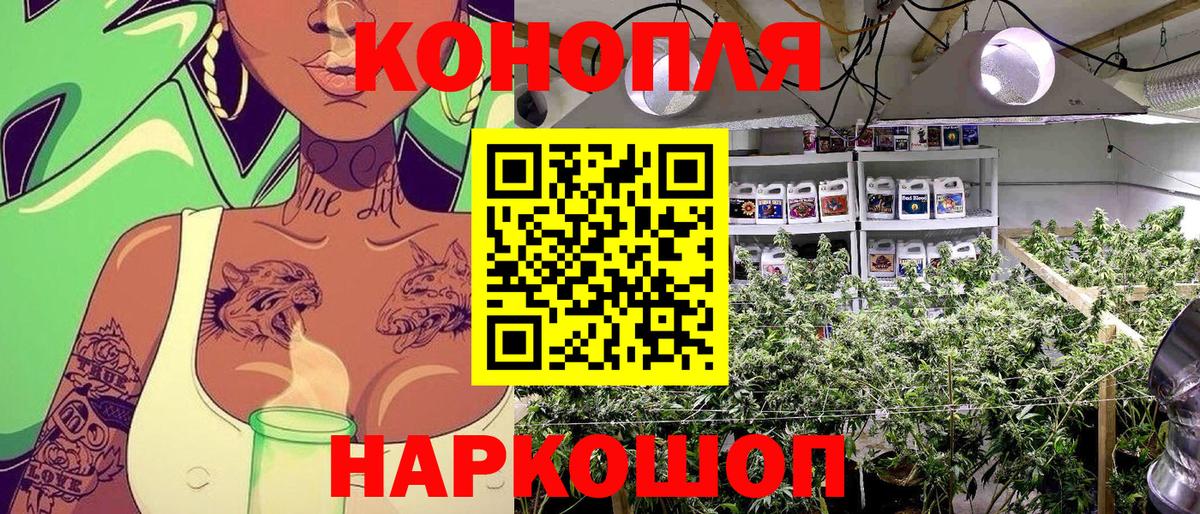 Каннабис планчик Советский